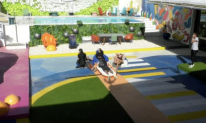 Concorrentes BB