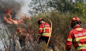 Bombeiros no combate aos incêndios