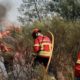 Bombeiros no combate aos incêndios